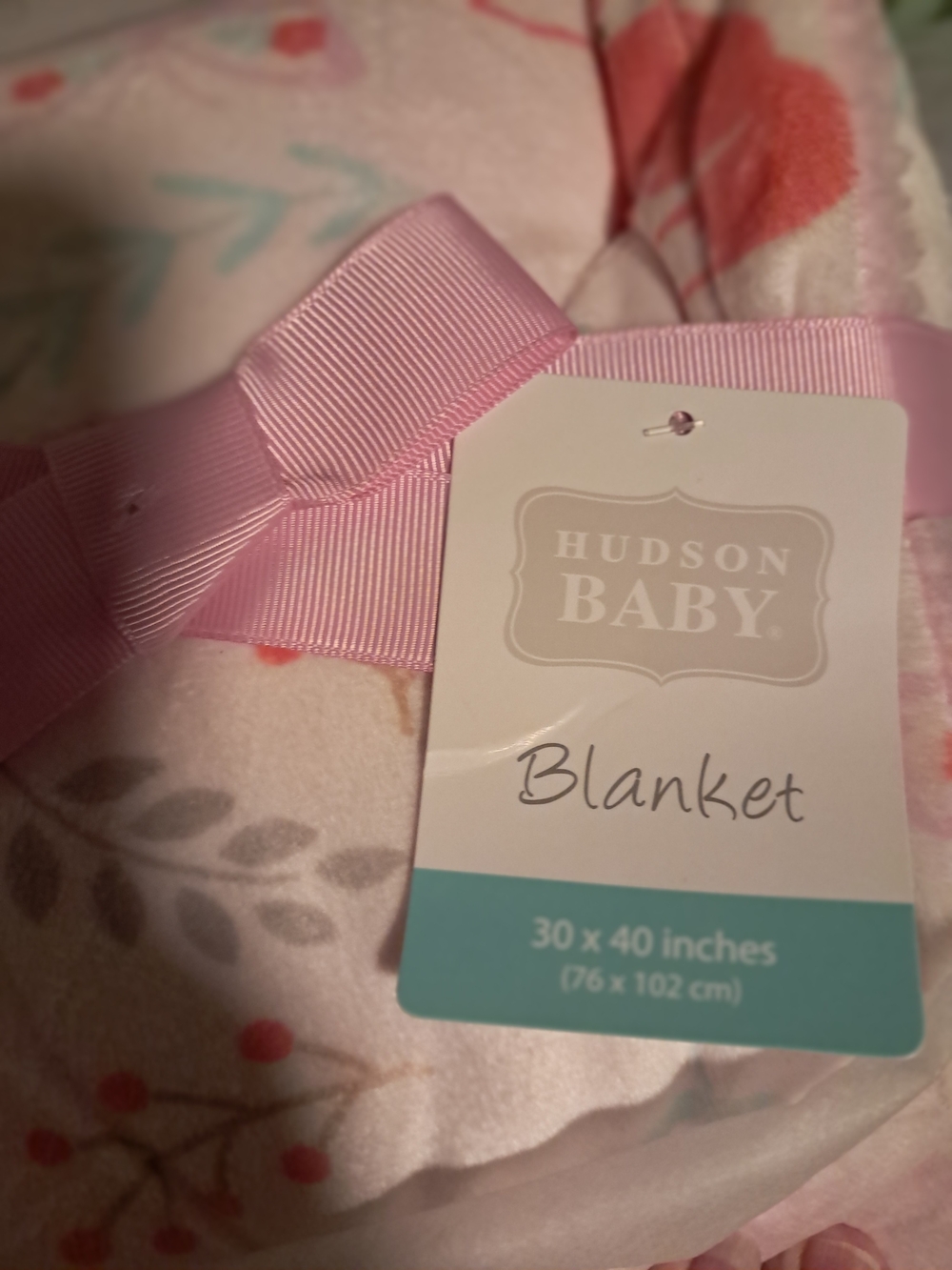 Hudson Baby Pink Ribbon Floral Plush Blanket